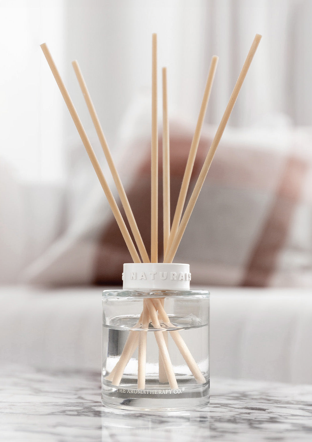 Santal & Vanilla Orchid