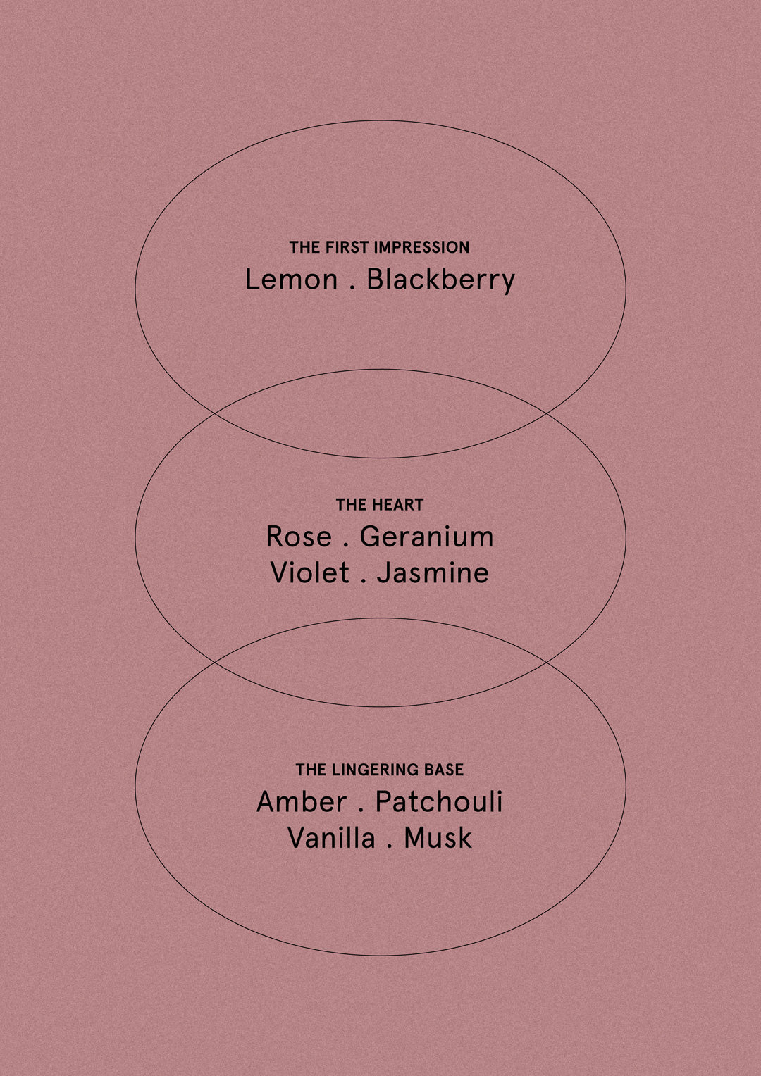 Blush Rose & Blackberry
