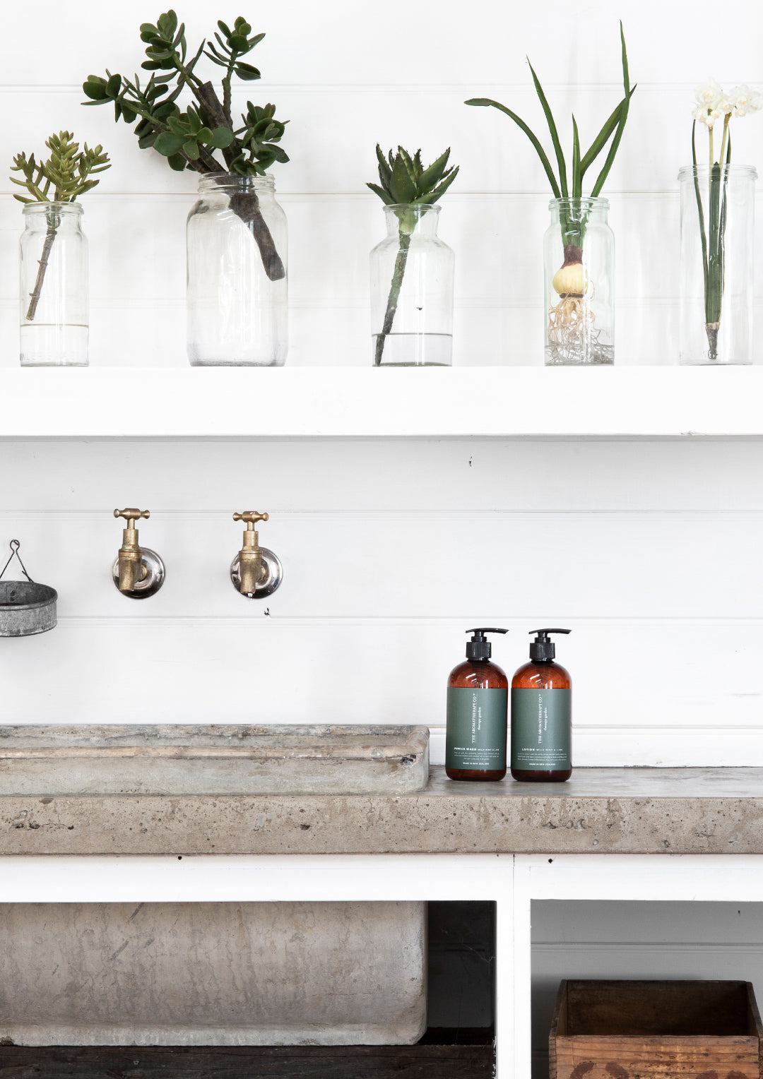Wild Mint & Lime