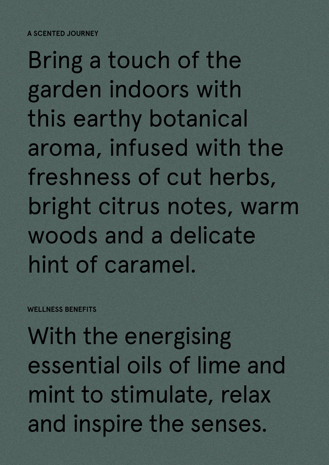Wild Mint & Lime
